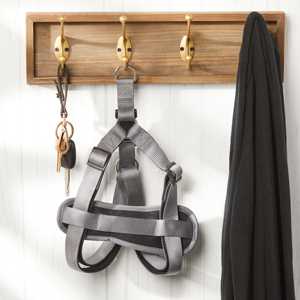 Vibrant Life Poliéster Step-In Arneses para perros, Gris, L - Product Image 6