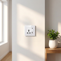 Prises murales en verre trempé blanc de haute qualité avec charge USB 13A 250V pour solutions de maison moderne