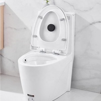 Système d'économie d'eau, réservoir de chasse d'eau automatique sans contact, capteur de chasse d'eau pour toilettes à la turque