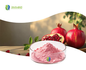 SLBIO Fornitura all'Ingrosso di Estratto di Erbe Alimentari in Polvere Idrosolubile di <span class=keywords><strong>Melograno</strong></span> in Confezioni a Tamburo/Lattina/Bottiglia - Product Image 1