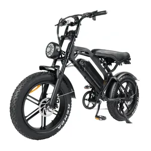 Netherlands electric fatbike 20 inch fat tire V20 hydraulic e bike