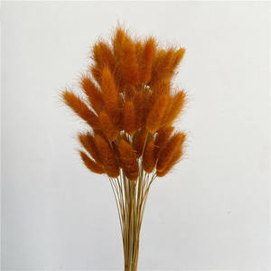 Vente en gros d'herbe à queue de lapin préservée, bouquet d'herbe naturelle de <span class=keywords><strong>Lagurus</strong></span> ovatus pour les événements de mariage à la maison, arrangement floral - Product Image 6