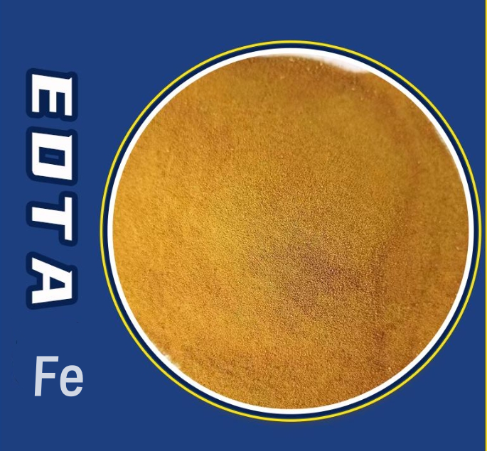 High quality EDTA Fe chelate