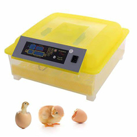 Nouvel Incubateur/Éclosoir Entièrement Automatique en Matériau PC à Haute Productivité pour Œufs d'Autruche, Canard, Poulet avec 90 % de Taux d'Éclosion et Garantie