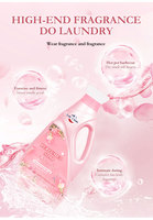 Lc Échantillons gratuits Détergent à lessive liquide de lavage domestique moderne bon marché Parfum Savon Détergent à lessive avec ingrédients naturels