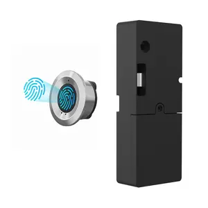 便宜的生物指纹储物柜锁电子wifi指纹锁柜子密码指纹柜子锁
