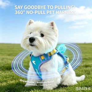 Harnais pour animaux de compagnie réglable et durable avec laisse, design classique et simple, motif uni, gilet en maille douce pour chiot, promenade en extérieur - Product Image 5