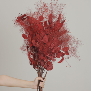 Flores de Cotinus Coggygria Scop Preservadas al por Mayor Moon Yu, Color Personalizado, para el Hogar, Año Nuevo - Product Image 1