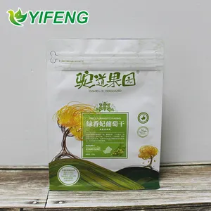 Bao Bì Thịt Nướng Nhựa Tùy Chỉnh In Foil Logo Cpe Poly Ziplock Đáy Phẳng Pouch Bbq Than Đóng Gói Túi