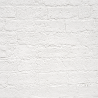 Panneau 3D en argile souple PU à texture de brique |   Rustique Wabi-Sabi |   Utilisation commerciale domestique |   Mur décoratif de la salle de thé de la maison d'hôtes |   5