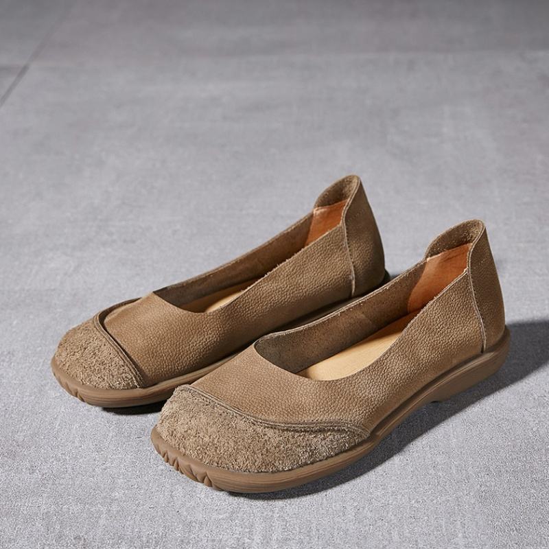 แอปริคอท