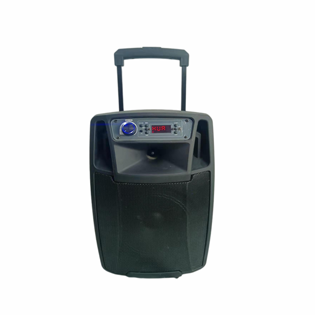 Professional Trolley Speaker Single 8 Inch With Wired Microphone Karoke Speaker Trolley Big Speakers