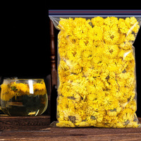 Bunga Krisan Kuning Segar untuk Teh dan Dekorasi Rumah Kelopak Kering Alami untuk Infus Herbal yang Menenangkan