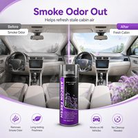 Désodorisant pour Voiture pour Ateliers de Detailing et Chaînes de Stations de Lavage Auto, Élimine les Odeurs de Fumée, d'Animaux et de Nourriture, Fournisseur en Gros OEM ODM Marque Privée