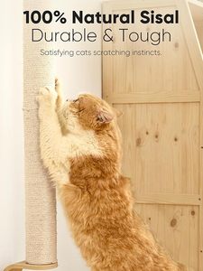 FUKUMARU <span class=keywords><strong>Griffoir</strong></span> <span class=keywords><strong>pour</strong></span> <span class=keywords><strong>chat</strong></span>, poteau à griffer mural de 60 pouces de haut, arbre à griffer robuste en sisal adapté aux grands chats d'intérieur - Product Image 3