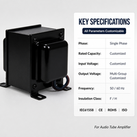Transformateur de filament à faible puissance à haut rendement 50Hz/60Hz avec haute fréquence 20KHz pour des performances optimales