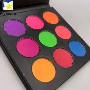 Festival OEM 9 Farbe Matt Fluoreszenz Lidschatten Make-up Neon Lidschatten Palette