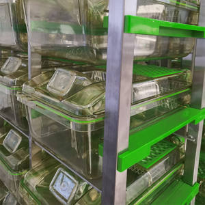 Nouvelles cages IVC individuelles ventilées pour animaux de laboratoire pour souris et rats de laboratoire - Product Image 3