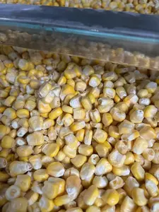 High Quality FD Vegetable Factory Deirect Freeze Dried Corn For Importer