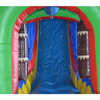Toboggan aquatique gonflable en PVC robuste à forte marge de profit pour enfants, taille personnalisée, pour entreprises de location résidentielle, scolaire et domestique