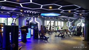 Precio de equipo de gimnasio Máquina de fitness profesional Entrenador de músculos abdominales totales Ejercicios Máquina abdominal de mentira de Kraft puro - Product Image 5