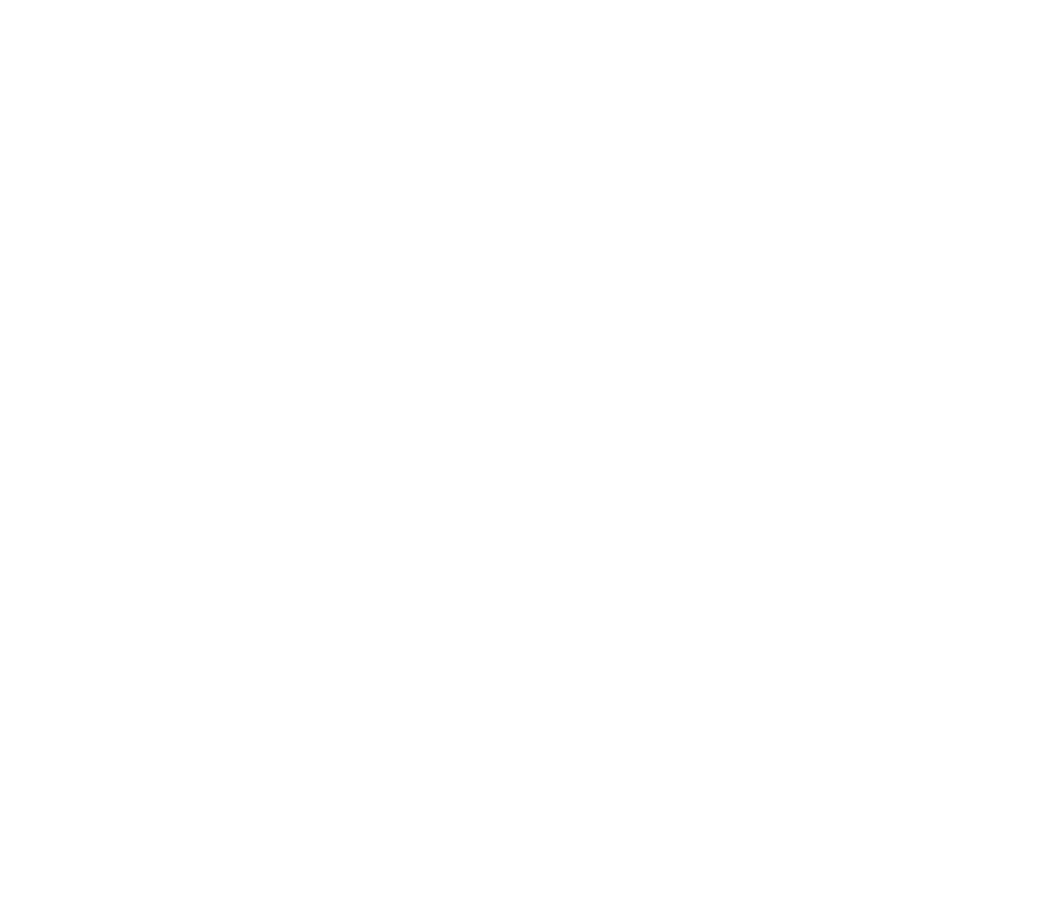 Nanjing Lion Printer Technology Co., Ltd. logo
