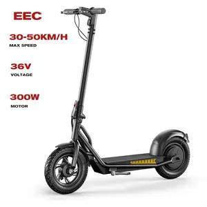 EEC High Cost Performance Modern Techniques 100v-240v 36v Self-Balancing Electric Mini Scooters