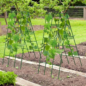 Supporto per Piante a Forma di A in Metallo per Giardino, Traliccio per Cetrioli e Ortaggi in Vaso, da Esterno, del Produttore - Product Image 2