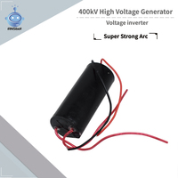 Générateur haute tension RNSbot 400KV, transformateur onduleur haute tension, module package haute tension à impulsions, super arc