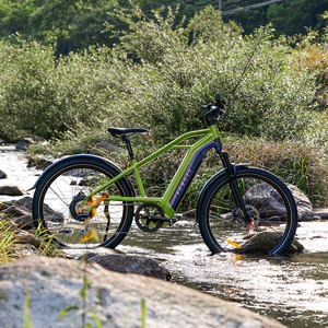 Bicicleta Cruiser 2023, Nuevo Modelo, 48V500W, Bicicleta Eléctrica Urbana para Mujer, Bicicletas Eléctricas Chinas Inigualables para Mujer - Product Image 1