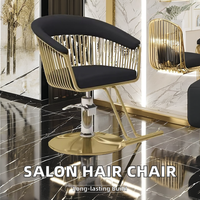 Chaise de coiffure / Chaise de séchage pour salon de beauté / Chaises et miroirs pour salon de beauté