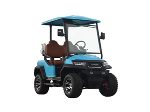 Carrito de Golf de 2 Plazas C727.2, Kit de Sistema de Aire Acondicionado de 48V 5KW, Vehículo de Turismo con Motor de 4 kW y Batería de 48V - Product Image 4
