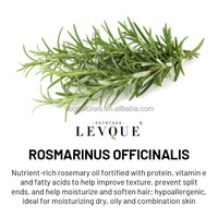 Sérum Capillaire Naturel et Bio au Romarin pour la Repousse et la Croissance des Cheveux, Traitement Fortifiant à l'Huile d'Olive Essentielle