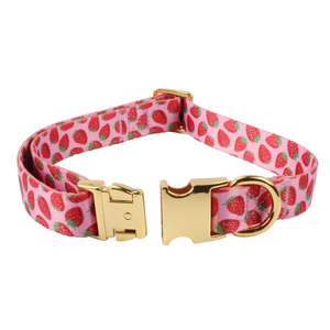 Innovative Custom Design Dog Collar Luxury Avocado Rose Gold Metal Buckle Breakaway Made Polyester for Personalized Luxury