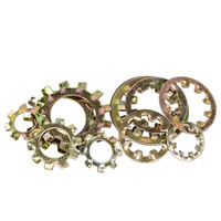Stainless Steel/Carbon Steel Heavy Duty Lock Washers DIN 6797 Fasteners Black/Zinc/Plain Finish OEM Service Customized Sizes