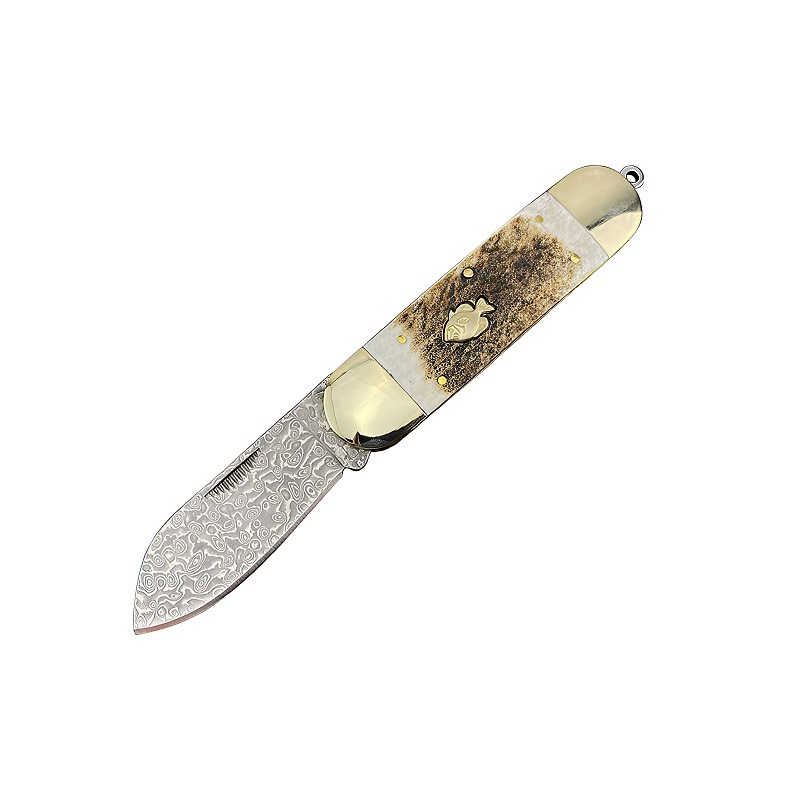 Hoja de Damasco B plateada