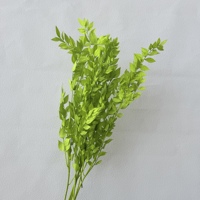 Fleur de Ruscus stabilisée pour la décoration intérieure, matériau DIY pour cadeau de Saint-Valentin - Vente directe usine, fleurs de mariage, décoration Diwali