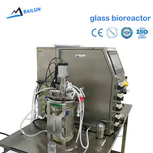 Biorreactor Fermentador de Doble Pared con Aislamiento de Vidrio de 10L, Tanque Agitado de Vidrio con Precio para Investigación Microbiana y Suspensión - Product Image 1