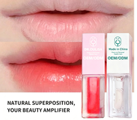 Gloss à lèvres repulpant aux minéraux infusés aux herbes, longue tenue, liquide, à l'acide hyaluronique, hydratant
