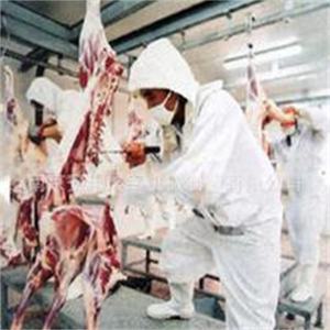 Ligne d'abattage automatique suspendue de moutons de chèvre de Ram d'agneau de haute qualité avec le convoyeur de saignement de moutons - Product Image 6