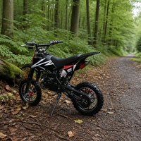 Moto tout-terrain pour enfants de 49 cm3 à essence, refroidissement par air, monocylindre