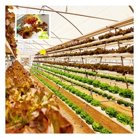 Tuyau PVC bon marché hydroponique PP Grow Channel système de ravin vertical NFT