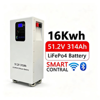 Batterie au lithium empilable 51,2 V 314 Ah 16 kWh à performance stable avec câbles de connexion pour système solaire, idéale pour les cabanes de vacances – Approvisionnement direct usine