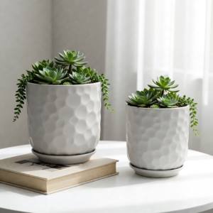 Jardinières d'intérieur modernes de haute qualité, pots en céramique pour plantes succulentes, décoration de jardin de bureau, pots à fleurs - Product Image 2