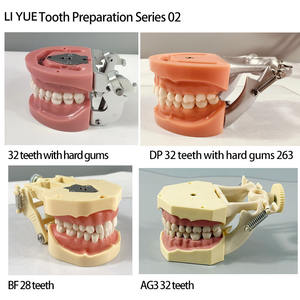 Práctica de Odontología, Modelo de Cabeza Simulada Modelo RT, Modelo Dental Transparente, Estudiantes Practican con Modelos Dentales - Product Image 2