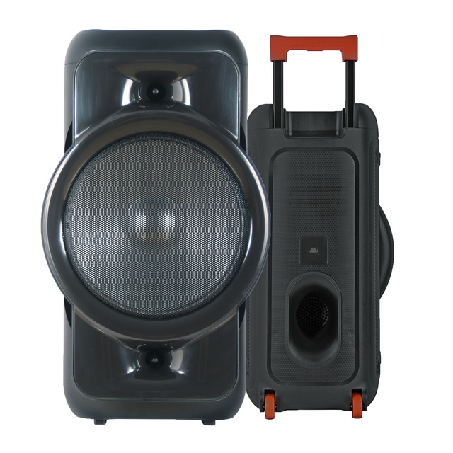 12-Inch Portable Wireless RGB LED Karaoke Speaker with AUX Input Built-in Microphone & Remote Control for Outdoor Parties