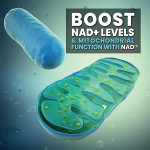 NAD3 Liposomal NAD + كبسولات معززة للكبار المكملات الغذائية تدعم الصحة الخلوية - Product Image 2