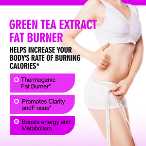 OEM ODM Factory Direct Fat Burner Green Tea Extract Capsules with Green Tea Promotes Clarity and Immune Support Energy Capsules - Product Image 3