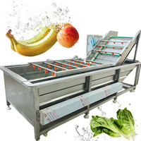 Goede Prijs Automatische Transport Bubble Fruit Reinigingsapparatuur Vers Fruit Dadels Druif Bubble Reinigingsmachine