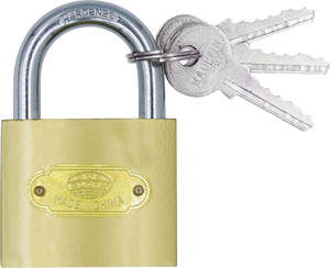 उच्च गुणवत्ता 38 मिमी पीतल-रंगीन आयरन फैशन सर्वश्रेष्ठ दरवाजा लॉक - Product Image 1